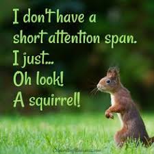 I don't have a short attention span. I just... Ok Look! A squirrel!