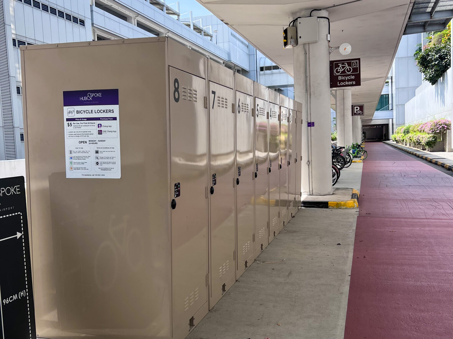 How to Spend 24 Hours in Singapore's Changi Airport Nurse and Nomad