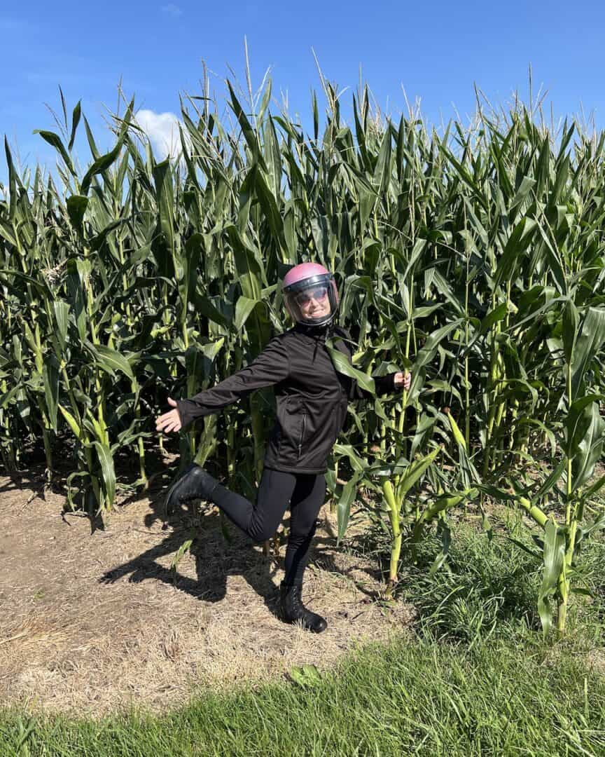 Corn Fields of Iowa