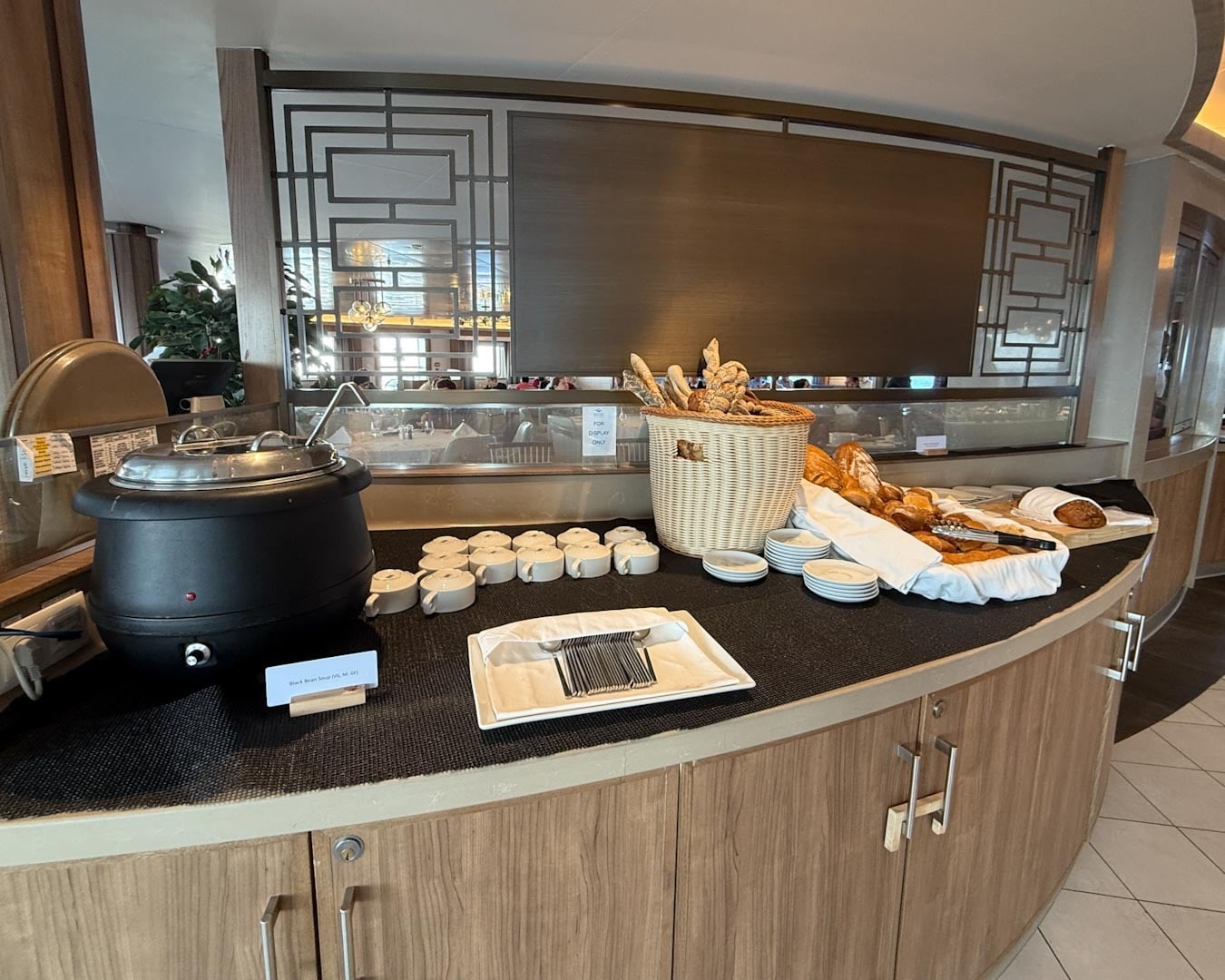 Dining on the Ocean Albatros in Antarctica