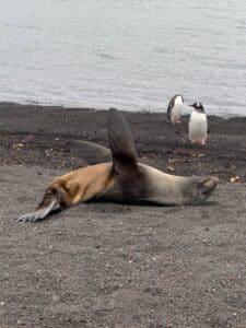 Guide to Antarctica Expedition on Ocean Albatros