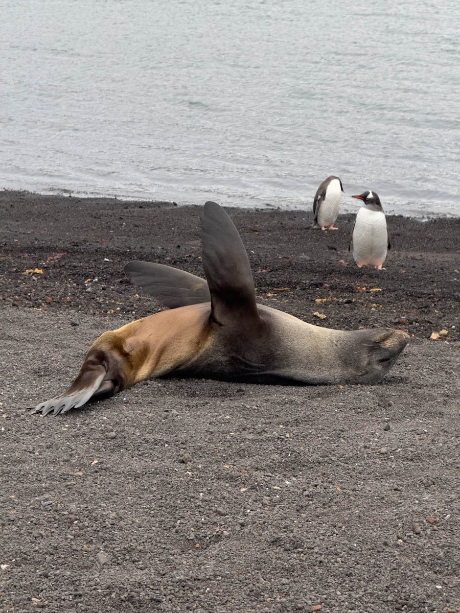 Guide to Antarctica Expedition on Ocean Albatros