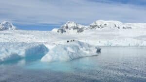 Guide to Antarctica