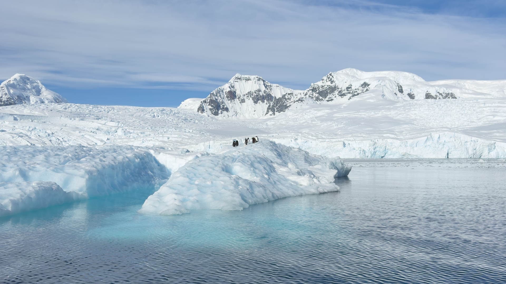 Guide to Antarctica