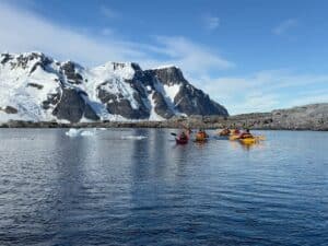Kayaking Ocean Albatros