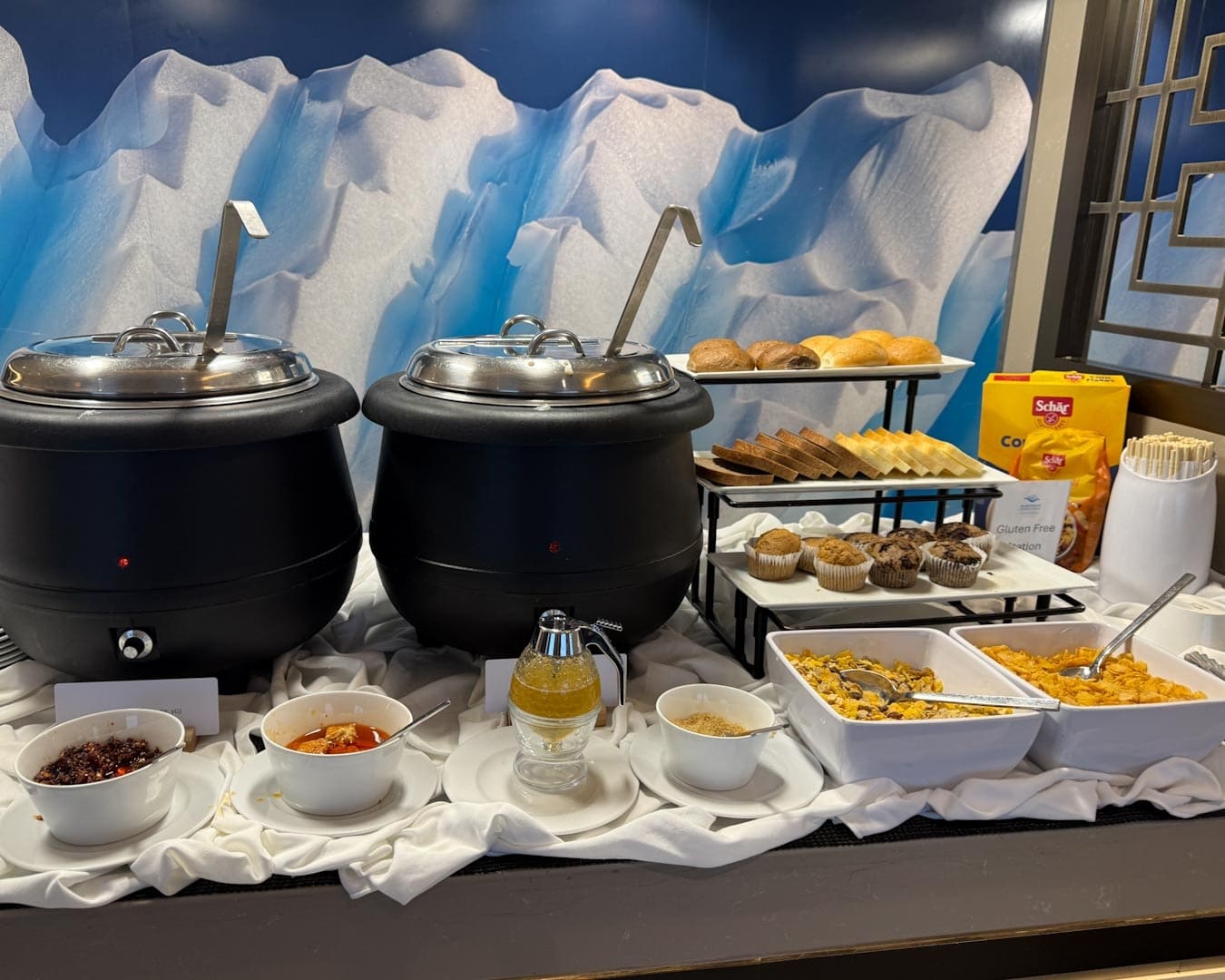 Dining on the Ocean Albatros in Antarctica