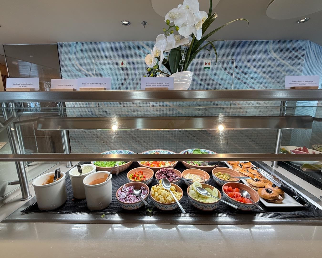 Dining on the Ocean Albatros in Antarctica