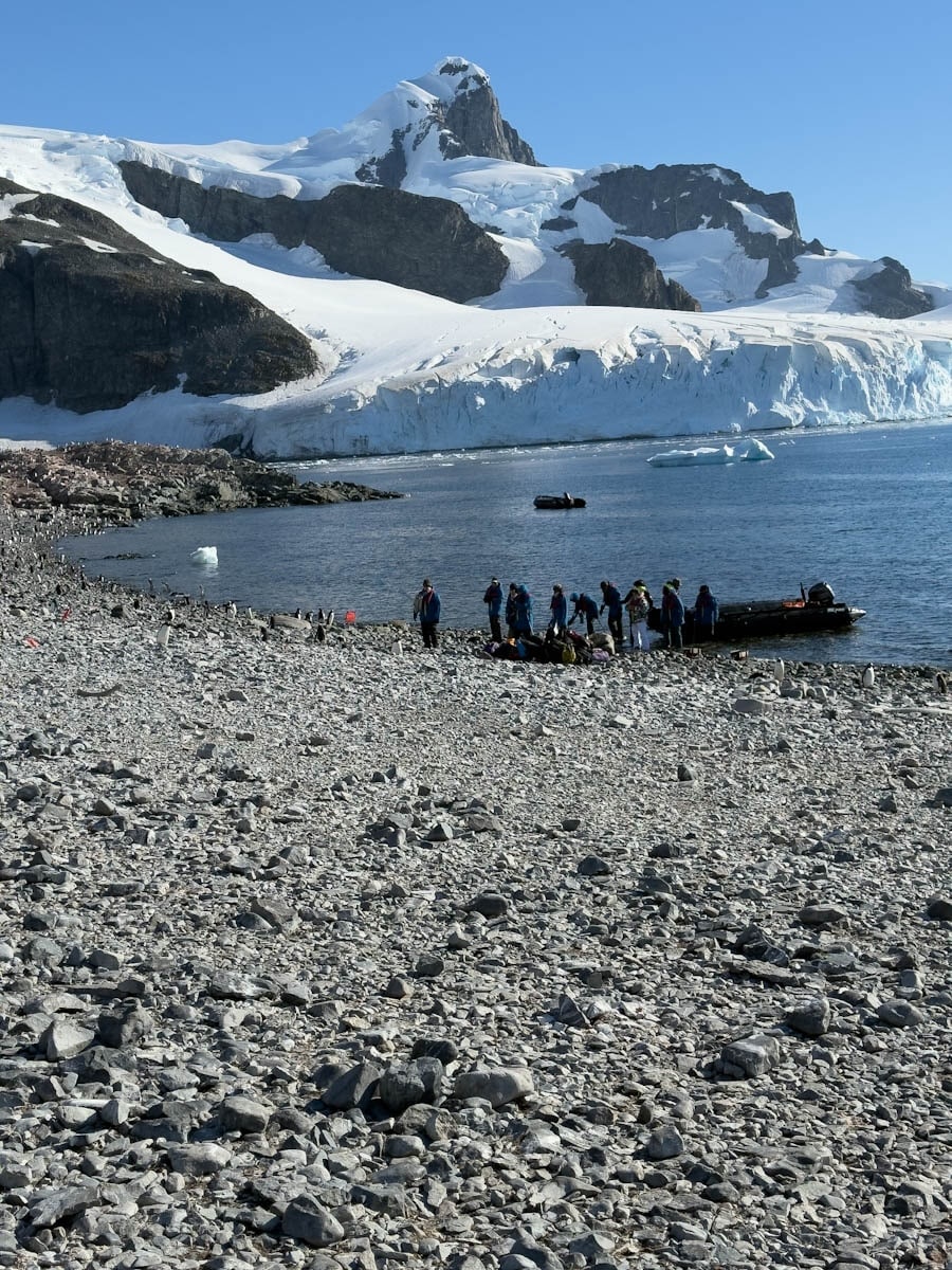Guide to Antarctica Expedition on the Ocean Albatros